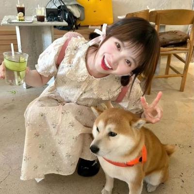 我想我是基